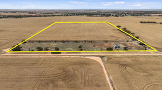 1244 Crutchett Road North Moonta SA 5558