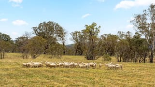 14 Avonley Road Majura ACT 2609