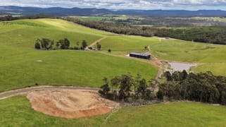 62 Bridport Back Road Nabowla TAS 7260