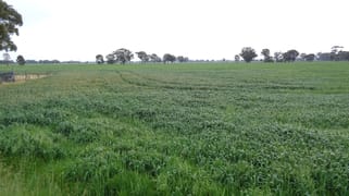 259 Geodetic Road Miepoll VIC 3666