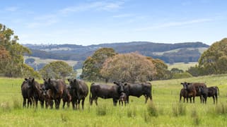 47 Old Trunk Road Bathurst NSW 2795