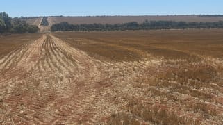 727 Tenindewa Road Tenindewa WA 6632