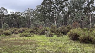 _ CA's 32, 33A, 34 & Lot 1 Off Gunyah Track Wellsford VIC 3551