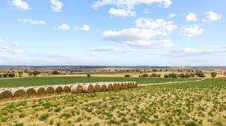 215 Holman Road Murrumburrah NSW 2587