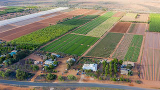 124 South River Road South Plantations WA 6701