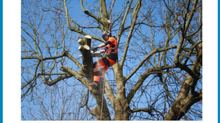 Soldiers Hill VIC 3350