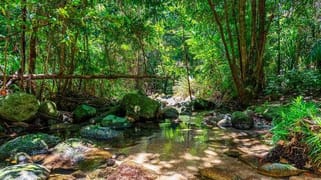 176 Healy Road Mirriwinni QLD 4871