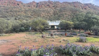 989 Ilparpa Road White Gums NT 0870