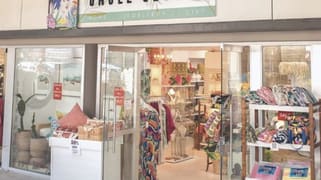 Noosa Heads QLD 4567