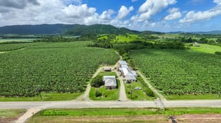 192 Walter Lever Estate Road Walter Lever Estate QLD 4856