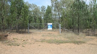 Lot 19 Mountain Creek Road Tenterfield NSW 2372