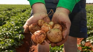 12766 Kidman Way Hillston NSW 2675