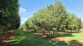 389 Teven Road Teven NSW 2478 389 Teven Road Teven NSW 2478