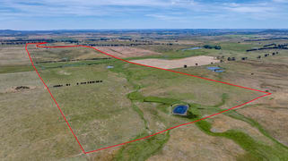 909 Windellama Road Goulburn NSW 2580