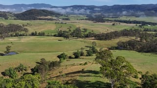 Ellenborough NSW 2446