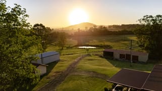 873 Cedar Party Road Cedar Party NSW 2429