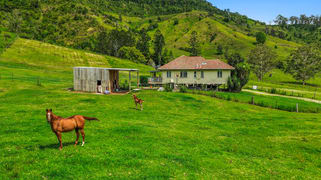 248 Illinbah Road Illinbah QLD 4275 248 Illinbah Road Illinbah QLD 4275