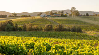 353 Oakey Creek Road Pokolbin NSW 2320 353 Oakey Creek Road Pokolbin NSW 2320