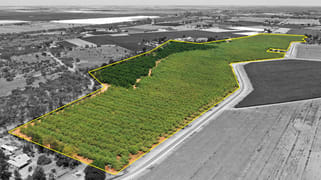 182 Carey Street and 210 Dumosa Street Red Cliffs VIC 3496 182 Carey Street and 210 Dumosa Street Red Cliffs VIC 3496