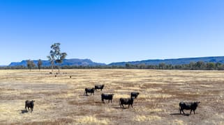 Golton South Road Dadswells Bridge VIC 3385 Golton South Road Dadswells Bridge VIC 3385