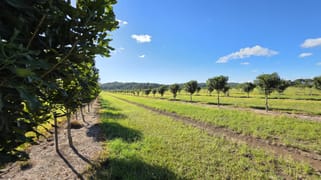 292 Pimlico Road Pimlico NSW 2478 292 Pimlico Road Pimlico NSW 2478