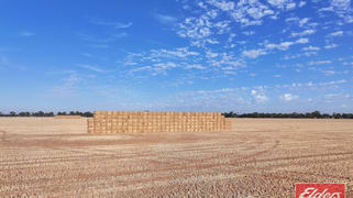 Lot 73 &74 Ham Road Moama NSW 2731 Lot 73 &74 Ham Road Moama NSW 2731