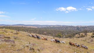 1884 Lower Lewis Ponds Road Ophir NSW 2800 1884 Lower Lewis Ponds Road Ophir NSW 2800