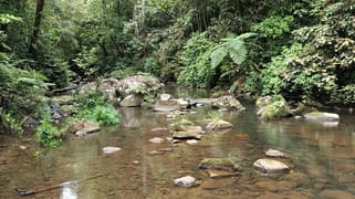 9 Middlebrook Rd Millaa Millaa QLD 4886