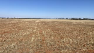 441 Imries Lane Tullibigeal NSW 2669