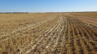 3397 Bendering Road Kondinin WA 6367