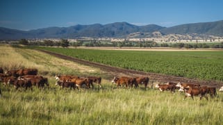 Warragundi West 289 Scotts Lane Currabubula NSW 2342