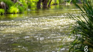 1064D Middle Falbrook Road Singleton NSW 2330