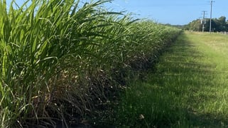 327 Moore Park Road Moore Park Beach QLD 4670