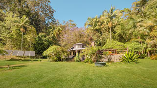 197 Tree Fern Road Mount Warning NSW 2484