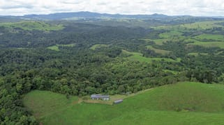 Lot 291 Palmerston Highway Mungalli QLD 4886