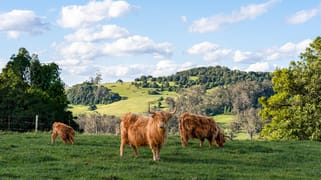 4980 Illawarra Highway Robertson NSW 2577 4980 Illawarra Highway Robertson NSW 2577