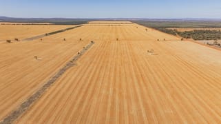 2880 Tallebung Road Condobolin NSW 2877 2880 Tallebung Road Condobolin NSW 2877