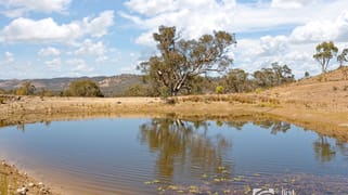 1453 Windeyer Road Mudgee NSW 2850 1453 Windeyer Road Mudgee NSW 2850