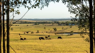 880D Elderslie Road Elderslie NSW 2335