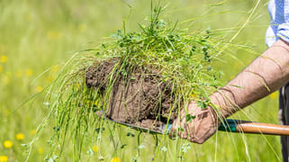 Lots 1 & 2 Six Chain Road Sandford VIC 3312 Lots 1 & 2 Six Chain Road Sandford VIC 3312