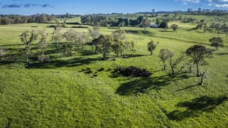 8691 Waterfall Way Road Ebor NSW 2453