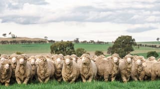 1679 Stockinbingal Road Cootamundra NSW 2590