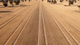 CA 37B & CA 38A Natimuk-Hamilton Road Noradjuha VIC 3409