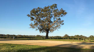 Nolans Road Hynam SA 5262