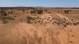 258 Pycroft Rd Orroroo SA 5431