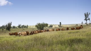 "Passchendaele" Bassingthwaightes Road Chahpingah QLD 4610