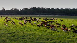 "Strathmore" Burra Burri Road Chahpingah QLD 4610