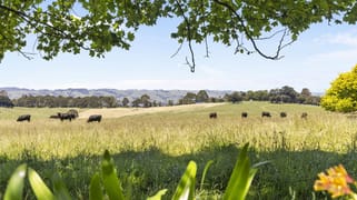 155 Coulters Road Mardan VIC 3953