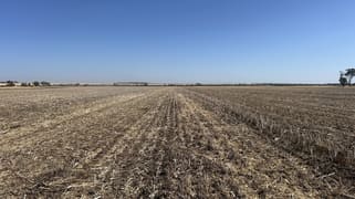 Dwarlacking Road Bulyee WA 6306 Dwarlacking Road Bulyee WA 6306