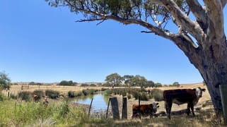 3857 Glenelg Highway Coleraine VIC 3315